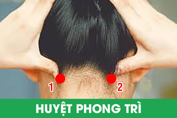 phuong-phap-massage-bam-huyet-cho-nguoi-cao-huyet-ap