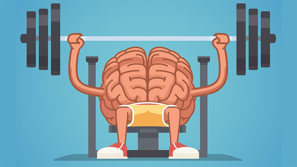 Top 3 cách rèn luyện trí não mỗi ngày dành cho bạn